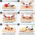 SCHVUBENR 3.5 Inch Apple Slicer - Professional Stainless Steel Apple Cutter with 8 Sharp Blades (Black)