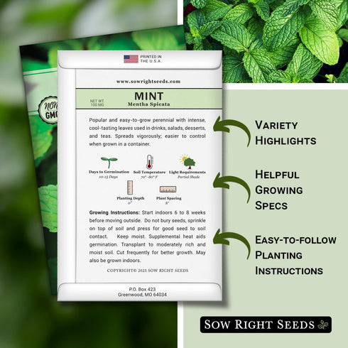 Packet (1) Sow Right Seeds - Mint Seeds for Planting - Non GMO Heirloom Perennial Herb for Indoor or Outdoor Planting