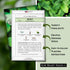 Packet (1) Sow Right Seeds - Mint Seeds for Planting - Non GMO Heirloom Perennial Herb for Indoor or Outdoor Planting