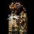 6 Pack 7.2ft 20 TenSteed Fairy Lights Battery Operated Fairy String Lights Firefly Lights LED Starry String Lights LEDs