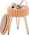 Wimarsbon Vanity Stool with Storage, Faux Fur Ottoman Chair with Metal Legs,