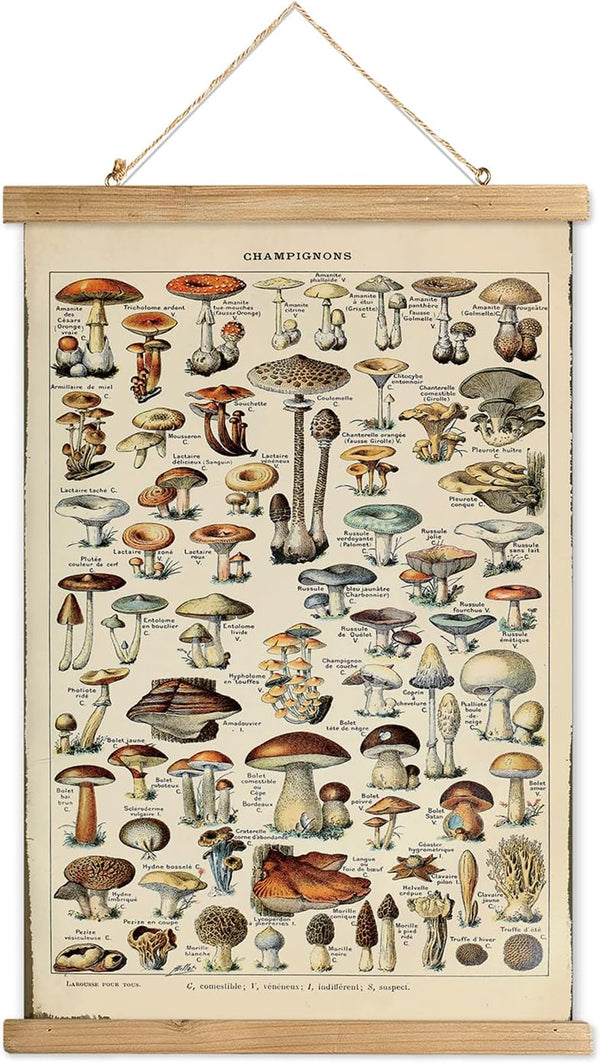 XIAOAIKA Vintage Mushroom Poster with Wooden Frame - Classic Botanical Print with