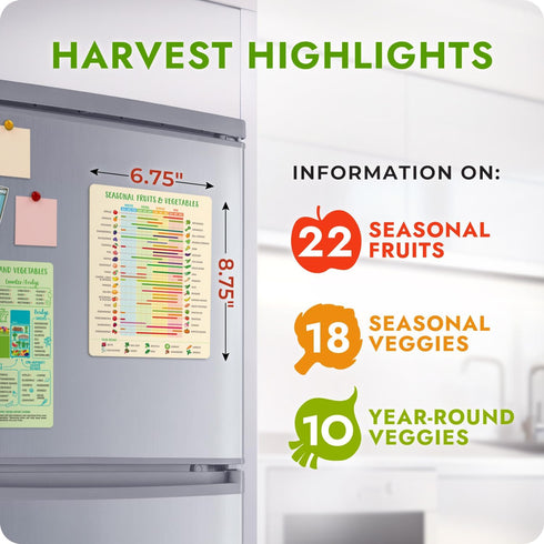 Seasonal Fruit & Vegetable Guide Fridge Magnet, Easy to Follow Calendar for Fresh Produce, Refrigerator Magnets