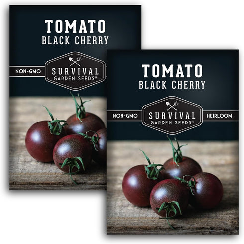 Black Cherry Tomato Seeds for Planting Indeterminate Heirloom Non-GMO Variety Grow High