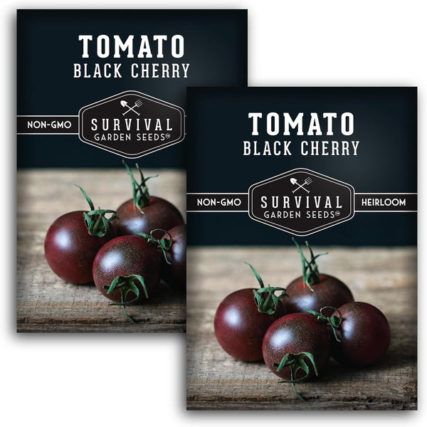 Black Cherry Tomato Seeds for Planting Indeterminate Heirloom Non-GMO Variety Grow High