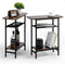 Tedheve 3-Tier Side Table Set of 2 for Living Room, Narrow End Table