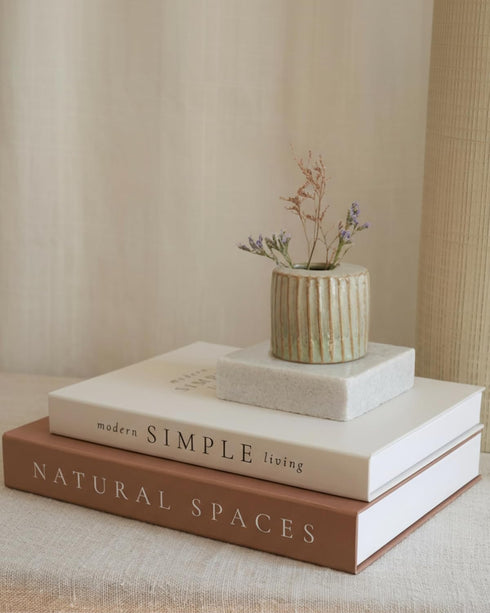Beautiful Decorative Books - Set of 2 Boxes Enhance Your Coffee Table,