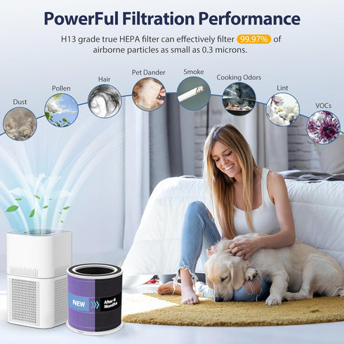 AP301 Pet Care Replacement Filter for Dayette AP301 AP302 & JOWSET Air Purifiers - H13 True HEPA Filter