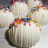 4 Drizzle Bottle for Hot Chocolate Bombs - Condiment Dispenser & Kitchen Squeeze Bottle - Sauce, Frosting, Simple