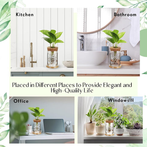 12 Packs Set Baderke Plastic Plant Propagation Vase Thank You Gift Desktop Plastic Planter Vase with Bamboo Stand