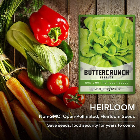 2000+ 2 Summer, Gardeners Basics, Buttercrunch Lettuce Seeds for Planting - Butterhead Boston Bibb Heirloom, Non-GMO