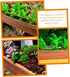 Wood Flower Box Cedar Window Boxes - Tiestos para Exterior Indoor Flower Pots for Outdoor Plants Fence Planter