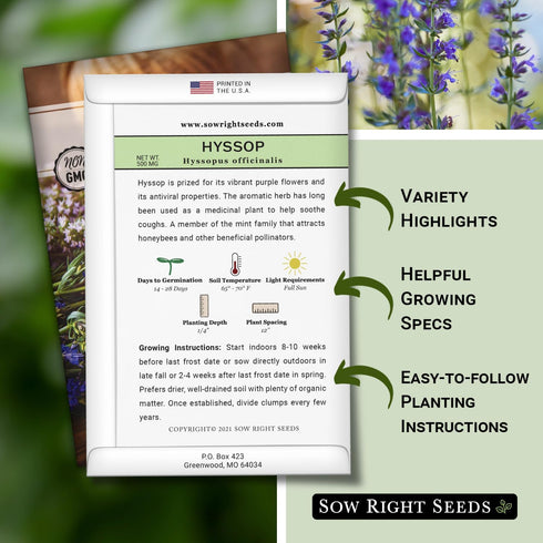 (1) Sow Right Seeds - Hyssop Seed for Planting - Medicinal Herb to Plant in Your Garden - Outdoors - Attracts