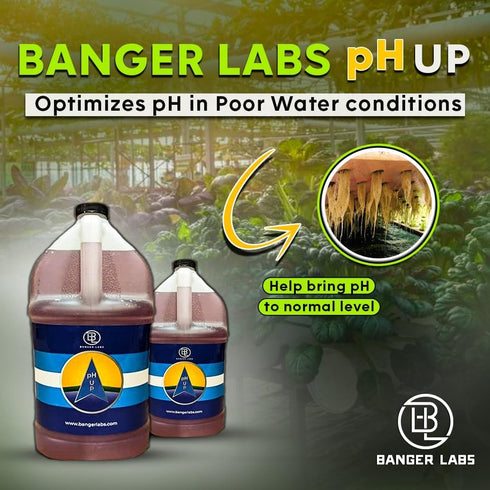 (1 Premium pH Up Solution - Corrects pH Imbalances, Maximizes Nutrient Absorption, Prevents Sickly Plants | Plant pH