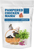 Pampered Chicken Mama Chick Starter (20 pounds) - All-Natural Backyard Baby Chick