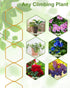 sousac 18 6-Corner Pcs Chain Trellis for Climbing Plants, Potted Houseplant Accessories for Hoya, Ivy, Monstera, DIY