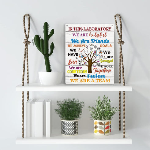 Science Classroom Decor: Science Wall Art, "In This Laboratory We Are Patient" Wooden Hanging Sign for School