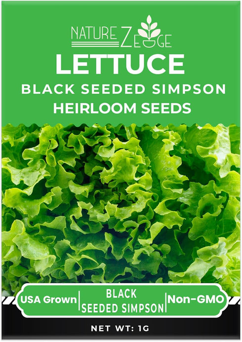 4 NatureZ Edge Lettuce Seeds for Planting, Popular Varieties Non-GMO Heirloom Seeds, Red Romaine, Bibb Butter, Black