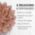 Everydecor Succulent Metal Flowers Wall Decor, Pink Hand Painted 3D Flower Art for Indoor & Outdoor Use