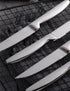 Steak Knife Set, 4-Piece Serrated Stainless Steel Cutlery, 22cm for Home, Restaurant, Hotel