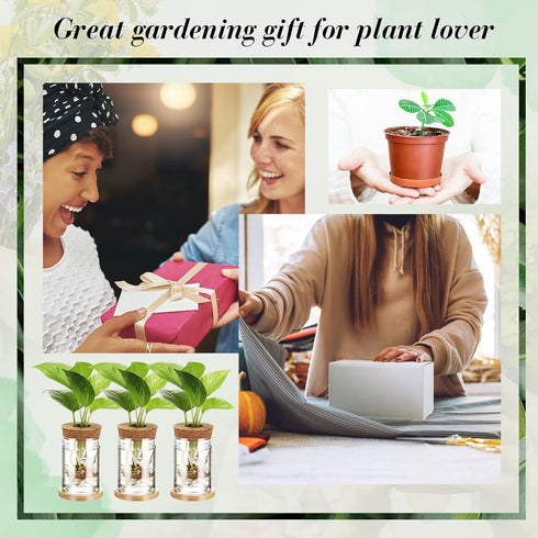 12 Packs Baderke Propagation Vases for Plants Plastic Plant Propagation with Hole Lid and Bamboo Stand Growing in Water