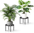2-Pack Use(11.81" TOSKING Plant Stands - Heavy Duty Low Plant Stand, No Assembly Required Risers for Potted Plants