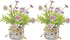 Daisy Artificial Flowers in Cement Vases 2Pcs,Daisies Faux Flowers Farmhouse Home Coffee