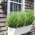 SLanC 8 Bundles Artificial Grass Plants Fake Bushes Artificial Shrubs Wheat Grass Greenery for House Plastic Outdoor UV Resistant Faux Grass (Pack of 8) by DVGUN