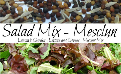 Liliana's Garden Mesclun Mix Salad Green Seeds Fast-Growing Lettuce-free Salad Mix Harvest in 40