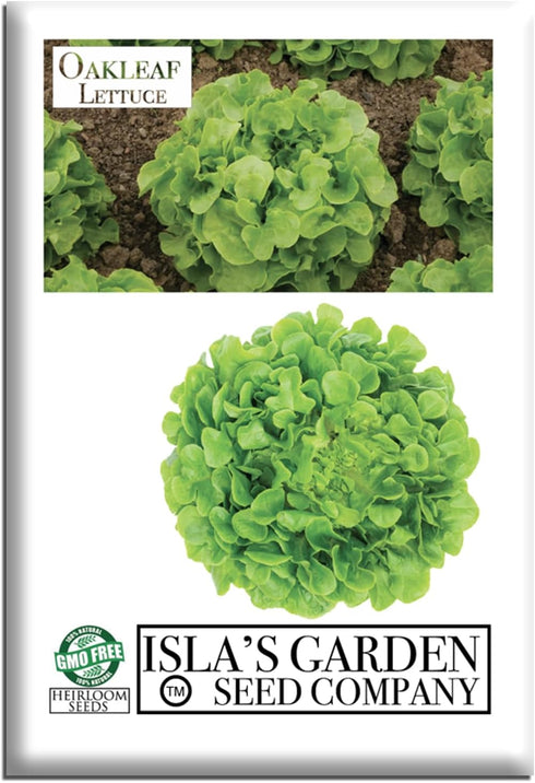 Oakleaf Leaf Lettuce Seeds 1000+ Heirloom Seeds per Packet by Islas Garden