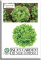 Oakleaf Leaf Lettuce Seeds 1000+ Heirloom Seeds per Packet by Islas Garden