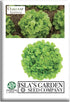 Oakleaf Leaf Lettuce Seeds 1000+ Heirloom Seeds per Packet by Islas Garden