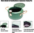 Japanese Tempura Deep Fryer Pot - Nonstick Carbon Steel Oil Fryer with Thermometer, 3.5L, Green Big Tempura Pan