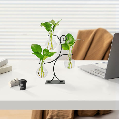 2026 3 Bulb Renmxj New Desktop Plant Propagation Stations, Plant Terrarium with Metal Stand, Glass Propagation Vases
