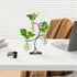 2026 3 Bulb Renmxj New Desktop Plant Propagation Stations, Plant Terrarium with Metal Stand, Glass Propagation Vases