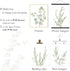 Botanical Boho Bathroom Decor Wall Art Prints, UNFRAMED Sage Green Plants Decor, Set of 4 Pictures (8"x10")