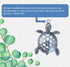 Sea Turtles Shower Curtain Hooks - Silver Metal Rust Proof Clips for Bathroom Accessories Set