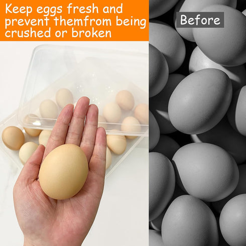 3Pack Deviled Egg Containers with Lid - Portable Egg Holder Carrier for Refrigerator, Storing 72 Eggs for Easter Party