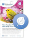 WindowAlert Aspen Leaf Anti-Collision Decal - UV-Reflective Window Decal to Protect Birds from Glass Collisions