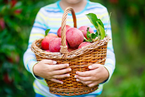 Ficoszo Pack 6 Mulberry (600pcs) Fruit Seeds Combo - Types, Strawberry Raspberry Apple Orange Blueberry Seeds, Non-GMO