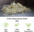 29 (1 Lb) Waltham Broccoli Seeds | Non-GMO Bulk Heirloom Broccoli Seeds for Sprouting, Microgreens, Vegetable