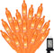 Orange Halloween String Lights Outdoor, Thanksgiving Mini Lights, 32.5FT 100 LED Waterproof