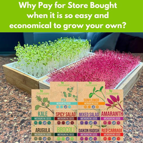 10 Pack Variety Microgreens Seeds - Broccoli, Sunflower, Pea, Salad Mix, Daikon Radish, Kale, Amaranth, Spicy Salad