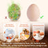 Egg Washer for Fresh Eggs, Egg Scrubber for Fresh Eggs, Egg Brush for Cleaning Fresh Eggs, Egg Cleaner Scrubber, Easter