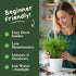 Packet Seedboy Organic Dill Seeds for Planting Indoor and Outdoor, Non-GMO and USDA Certified Herb Seed for Hydroponic