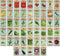Black Duck Brand 50 Packs Assorted Heirloom Vegetable Seeds 20+ Varieties All Seeds are Heirloom,