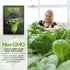 (1 Pack) Romaine Lettuce Seeds for Planting Parris Island Cos Heirloom Variety with Crisp, Tender Heads Heat Tolerant