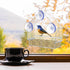 Window Bird Feeder, Clear Feeders with Strong Suction Cups for Outside Wild Birds