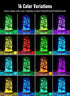 Minetom Color Changing Fairy String Lights, 33 ft 100 LED USB Silver Wire Lights with Remote and Timer, 16 Colors