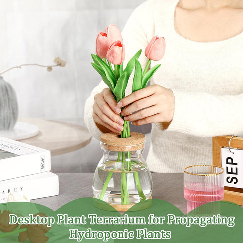 6 3 Beeveer Pcs Plants Propagation Station Separated Desktop Plant Terrarium with Wood Lid and Stand, Sizes Glass